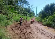 Polsek Limau Tinjau Bencana Longsor Dan Banjir di Kecamatan Kelumbayan
