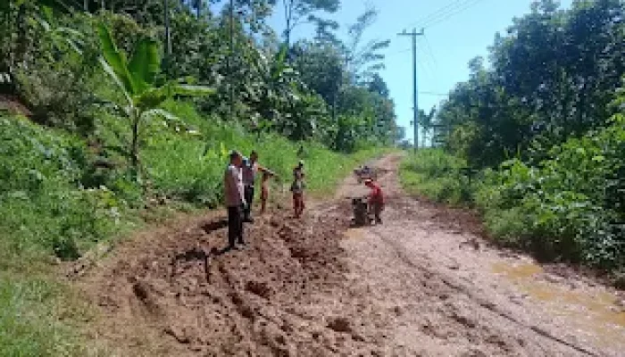 Polsek Limau Tinjau Bencana Longsor Dan Banjir di Kecamatan Kelumbayan