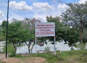 Lapor Pak Presiden!! Disinyalir Rugikan Negara, Lampu Penerangan Taman Kandung Piyos Tiyuh Karta Diduga Curi Arus Listrik