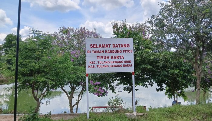 Lapor Pak Presiden!! Disinyalir Rugikan Negara, Lampu Penerangan Taman Kandung Piyos Tiyuh Karta Diduga Curi Arus Listrik