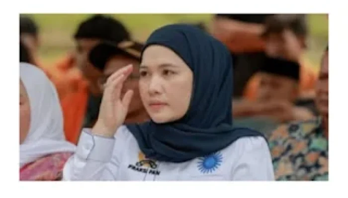 Apresiasi Kinerja Bupati, Waka III DPRD Lamsel Angkat Bicara