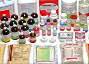 Pengadaan Dinas Peternakan dan Kesehatan Hewan Provinsi Lampung Diduga Melanggar Aturan