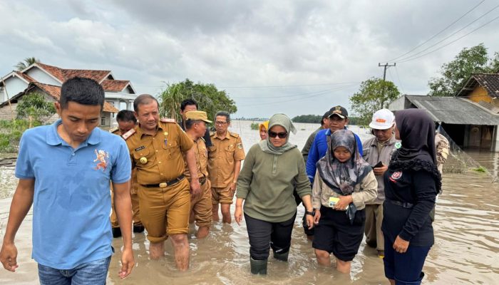 Tanggapi Video Viral, Bupati Lampung Timur Tinjau Lokasi