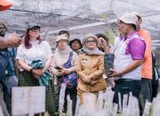 Menjanjikan dan Penopang Ekonomi, Ketua APik Lampung Timur: Tanaman Kakao Mampu Hidupi Petani