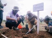Cocoa Agroforestry Berkelanjutan Jadi Strategi Lampung Timur Jaga Hutan dan Ekonomi Warga