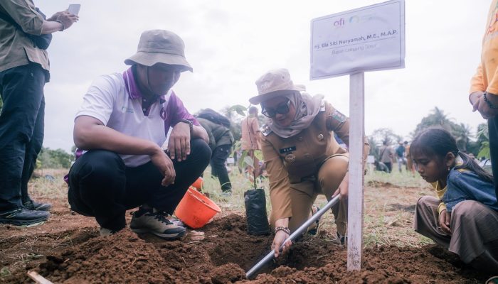 Cocoa Agroforestry Berkelanjutan Jadi Strategi Lampung Timur Jaga Hutan dan Ekonomi Warga