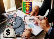 Paket Jasa BPBD Provinsi Lampung Tuai Dugaan Persekongkolan