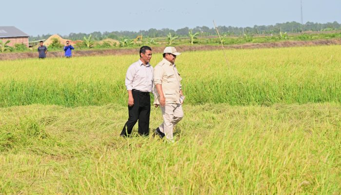 Kesiapan Indonesia Hadapi El Nino, Mentan: Stok Beras Tertinggi Sepanjang Sejarah
